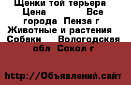 Щенки той терьера › Цена ­ 10 000 - Все города, Пенза г. Животные и растения » Собаки   . Вологодская обл.,Сокол г.